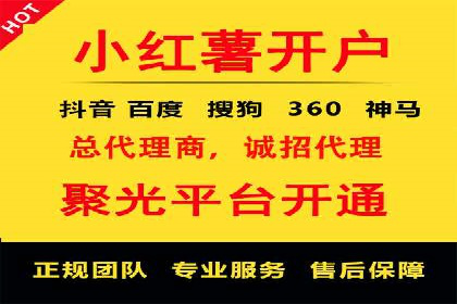 数据分析与信息流大师的决策过程